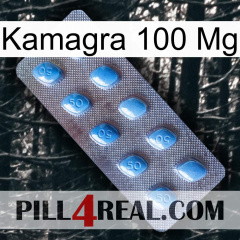 Kamagra 100Mg viagra3